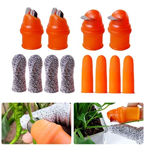 Best Garden Gadgets: Must-Have Tools for Every Green Thumb