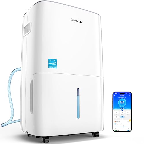 Smart Home Dehumidifier: Ultimate Solution for Large Room Moisture Control